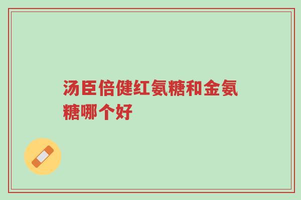 汤臣倍健红氨糖和金氨糖哪个好-第1张图片-超越 汤臣倍健红氨糖和金氨糖哪个好-第1张图片-超越