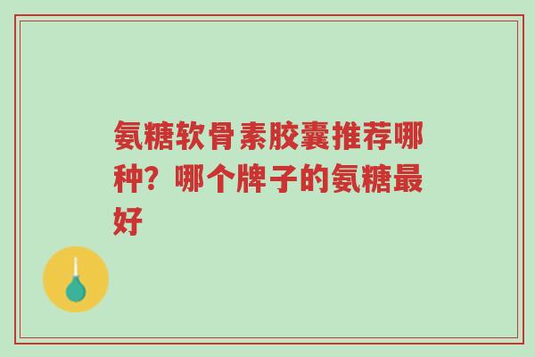 氨糖软骨素胶囊推荐哪种?哪个牌子的氨糖最好-第1张图片-超越 氨糖软骨素胶囊推荐哪种?哪个牌子的氨糖最好-第1张图片-超越