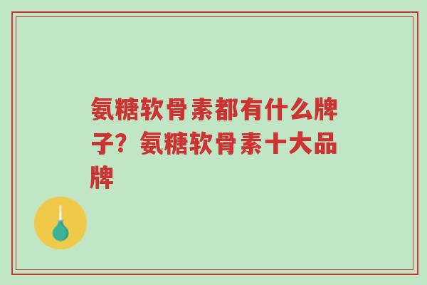 氨糖软骨素都有什么牌子?氨糖软骨素十大品牌-第1张图片-超越 氨糖软骨素都有什么牌子?氨糖软骨素十大品牌-第1张图片-超越