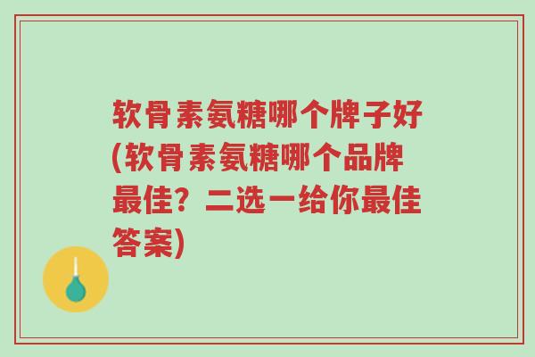 软骨素氨糖哪个牌子好(软骨素氨糖哪个品牌最佳?二选一给你最佳答案)-第1张图片-超越 软骨素氨糖哪个牌子好(软骨素氨糖哪个品牌最佳?二选一给你最佳答案)-第1张图片-超越