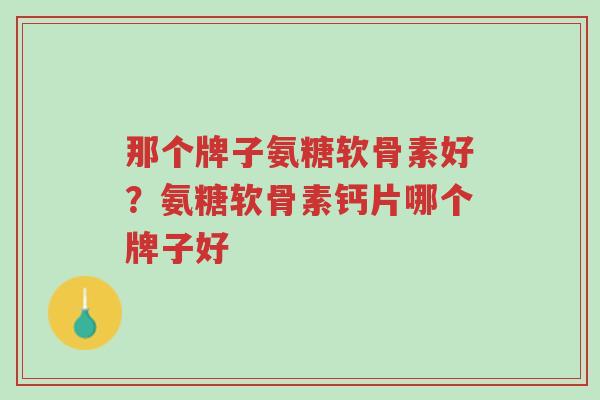 那个牌子氨糖软骨素好?氨糖软骨素钙片哪个牌子好-第1张图片-超越 那个牌子氨糖软骨素好?氨糖软骨素钙片哪个牌子好-第1张图片-超越