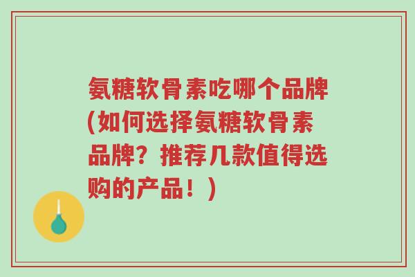 氨糖软骨素吃哪个品牌(如何选择氨糖软骨素品牌?推荐几款值得选购的产品!)-第1张图片-超越 氨糖软骨素吃哪个品牌(如何选择氨糖软骨素品牌?推荐几款值得选购的产品!)-第1张图片-超越