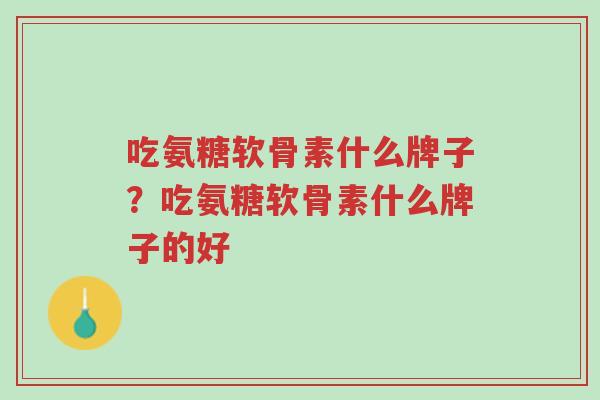 吃氨糖软骨素什么牌子?吃氨糖软骨素什么牌子的好-第1张图片-超越 吃氨糖软骨素什么牌子?吃氨糖软骨素什么牌子的好-第1张图片-超越