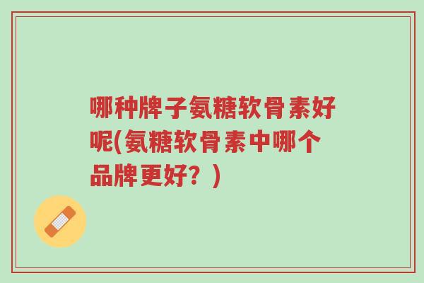 哪种牌子氨糖软骨素好呢(氨糖软骨素中哪个品牌更好?)-第1张图片-超越 哪种牌子氨糖软骨素好呢(氨糖软骨素中哪个品牌更好?)-第1张图片-超越