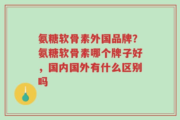 氨糖软骨素外国品牌?氨糖软骨素哪个牌子好,国内国外有什么区别吗-第1张图片-超越 氨糖软骨素外国品牌?氨糖软骨素哪个牌子好,国内国外有什么区别吗-第1张图片-超越