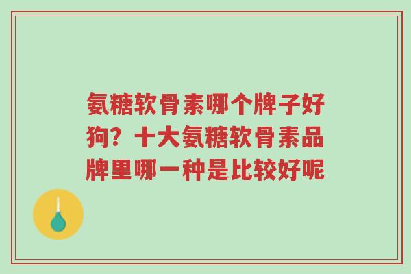 氨糖软骨素哪个牌子好狗？十大氨糖软骨素品牌里哪一种是比较好呢-第1张图片-超越