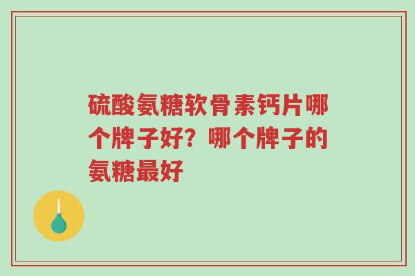 硫酸氨糖软骨素钙片哪个牌子好?哪个牌子的氨糖最好-第1张图片-超越 硫酸氨糖软骨素钙片哪个牌子好?哪个牌子的氨糖最好-第1张图片-超越
