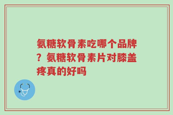 氨糖软骨素吃哪个品牌?氨糖软骨素片对膝盖疼真的好吗-第1张图片-超越 氨糖软骨素吃哪个品牌?氨糖软骨素片对膝盖疼真的好吗-第1张图片-超越