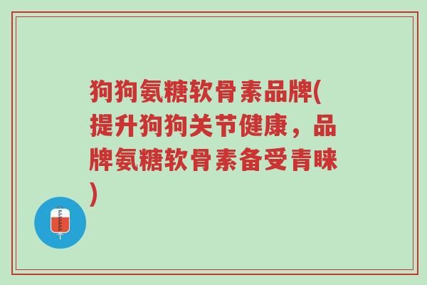 狗狗氨糖软骨素品牌(提升狗狗关节健康,品牌氨糖软骨素备受青睐)-第1张图片-超越 狗狗氨糖软骨素品牌(提升狗狗关节健康,品牌氨糖软骨素备受青睐)-第1张图片-超越