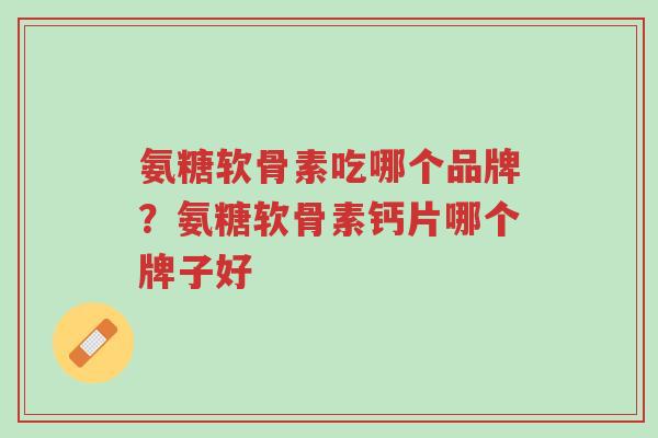 氨糖软骨素吃哪个品牌？氨糖软骨素钙片哪个牌子好-第1张图片-超越