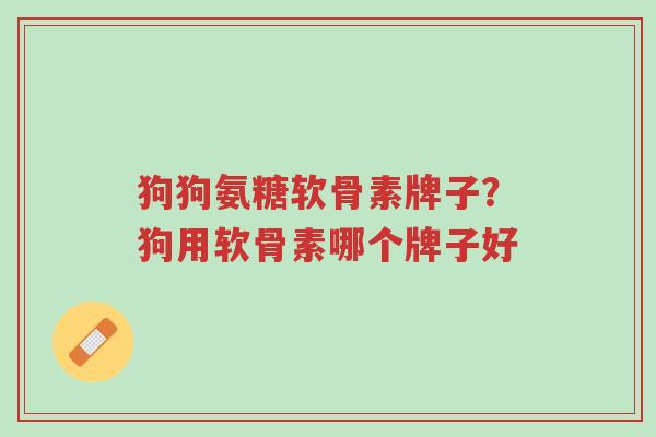 狗狗氨糖软骨素牌子?狗用软骨素哪个牌子好-第1张图片-超越 狗狗氨糖软骨素牌子?狗用软骨素哪个牌子好-第1张图片-超越