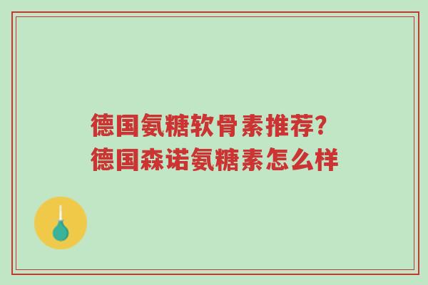 德国氨糖软骨素推荐?德国森诺氨糖素怎么样-第1张图片-超越 德国氨糖软骨素推荐?德国森诺氨糖素怎么样-第1张图片-超越