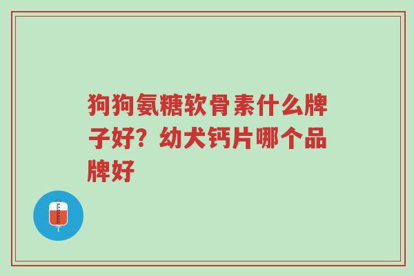 狗狗氨糖软骨素什么牌子好?幼犬钙片哪个品牌好-第1张图片-超越 狗狗氨糖软骨素什么牌子好?幼犬钙片哪个品牌好-第1张图片-超越