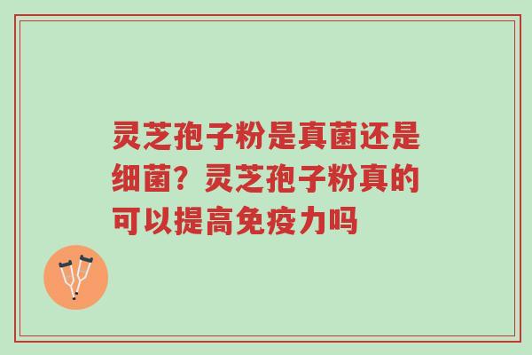 灵芝孢子粉是真菌还是细菌?灵芝孢子粉真的可以提高免疫力吗-第1张图片-超越 灵芝孢子粉是真菌还是细菌?灵芝孢子粉真的可以提高免疫力吗-第1张图片-超越