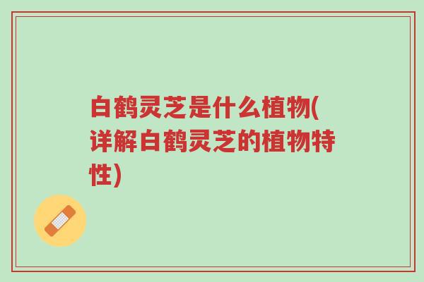白鹤灵芝是什么植物(详解白鹤灵芝的植物特性)-第1张图片-超越 白鹤灵芝是什么植物(详解白鹤灵芝的植物特性)-第1张图片-超越