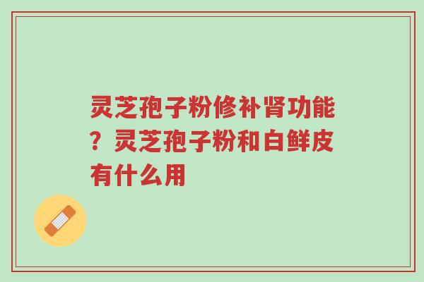 灵芝孢子粉修补肾功能?灵芝孢子粉和白鲜皮有什么用-第1张图片-超越 灵芝孢子粉修补肾功能?灵芝孢子粉和白鲜皮有什么用-第1张图片-超越