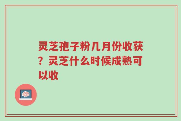灵芝孢子粉几月份收获?灵芝什么时候成熟可以收-第1张图片-超越 灵芝孢子粉几月份收获?灵芝什么时候成熟可以收-第1张图片-超越