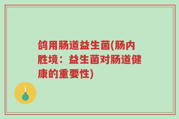 鸽用肠道益生菌(肠内胜境:益生菌对肠道健康的重要性)-第1张图片-超越 鸽用肠道益生菌(肠内胜境:益生菌对肠道健康的重要性)-第1张图片-超越