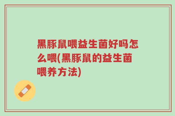 黑豚鼠喂益生菌好吗怎么喂(黑豚鼠的益生菌喂养方法)-第1张图片-超越 黑豚鼠喂益生菌好吗怎么喂(黑豚鼠的益生菌喂养方法)-第1张图片-超越