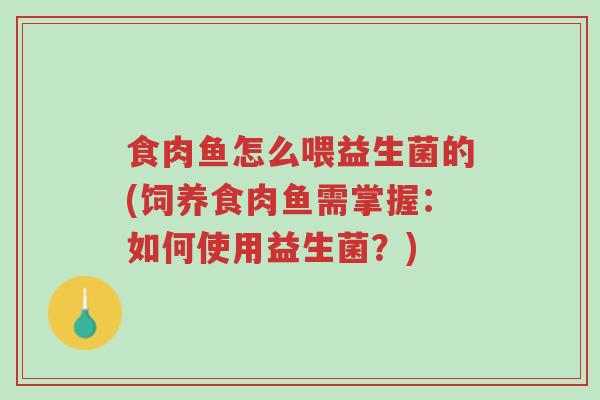 食肉鱼怎么喂益生菌的(饲养食肉鱼需掌握:如何使用益生菌?)-第1张图片-超越 食肉鱼怎么喂益生菌的(饲养食肉鱼需掌握:如何使用益生菌?)-第1张图片-超越
