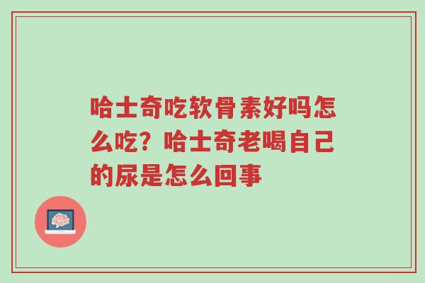 哈士奇吃软骨素好吗怎么吃?哈士奇老喝自己的尿是怎么回事-第1张图片-超越 哈士奇吃软骨素好吗怎么吃?哈士奇老喝自己的尿是怎么回事-第1张图片-超越