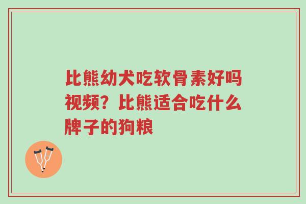 比熊幼犬吃软骨素好吗视频?比熊适合吃什么牌子的狗粮-第1张图片-超越 比熊幼犬吃软骨素好吗视频?比熊适合吃什么牌子的狗粮-第1张图片-超越