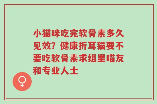 小猫咪吃完软骨素多久见效?健康折耳猫要不要吃软骨素求组里喵友和专业人士-第1张图片-超越 小猫咪吃完软骨素多久见效?健康折耳猫要不要吃软骨素求组里喵友和专业人士-第1张图片-超越