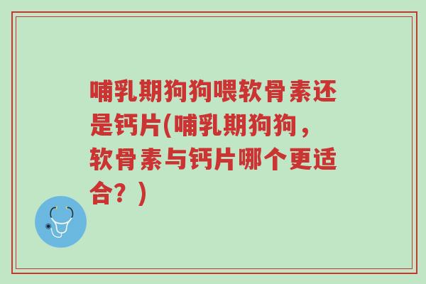 哺乳期狗狗喂软骨素还是钙片(哺乳期狗狗,软骨素与钙片哪个更适合?)-第1张图片-超越 哺乳期狗狗喂软骨素还是钙片(哺乳期狗狗,软骨素与钙片哪个更适合?)-第1张图片-超越