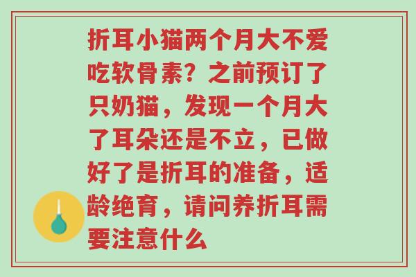 折耳小猫两个月大不爱吃软骨素?之前预订了只奶猫,发现一个月大了耳朵还是不立,已做好了是折耳的准备,适龄绝育,请问养折耳需要注意什么-第1张图片-超越 折耳小猫两个月大不爱吃软骨素?之前预订了只奶猫,发现一个月大了耳朵还是不立,已做好了是折耳的准备,适龄绝育,请问养折耳需要注意什么-第1张图片-超越