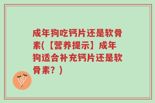成年狗吃钙片还是软骨素(【营养提示】成年狗适合补充钙片还是软骨素?)-第1张图片-超越 成年狗吃钙片还是软骨素(【营养提示】成年狗适合补充钙片还是软骨素?)-第1张图片-超越