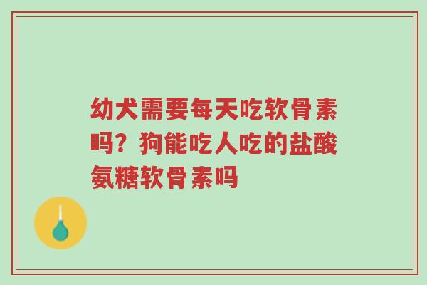 幼犬需要每天吃软骨素吗？狗能吃人吃的盐酸氨糖软骨素吗-第1张图片-超越
