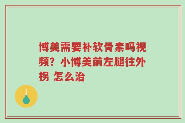 博美需要补软骨素吗视频?小博美前左腿往外拐 怎么治-第1张图片-超越 博美需要补软骨素吗视频?小博美前左腿往外拐 怎么治-第1张图片-超越