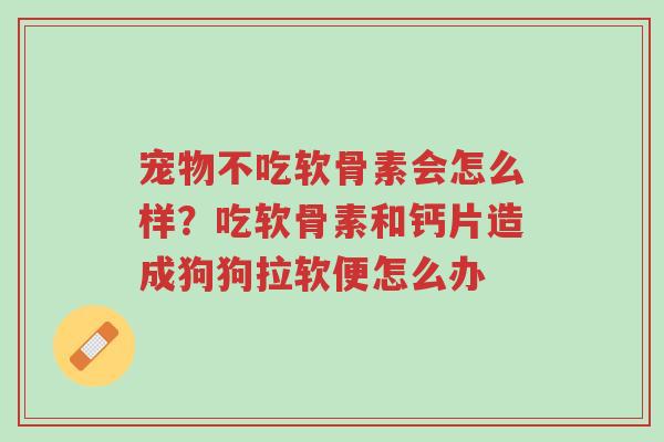宠物不吃软骨素会怎么样?吃软骨素和钙片造成狗狗拉软便怎么办-第1张图片-超越 宠物不吃软骨素会怎么样?吃软骨素和钙片造成狗狗拉软便怎么办-第1张图片-超越