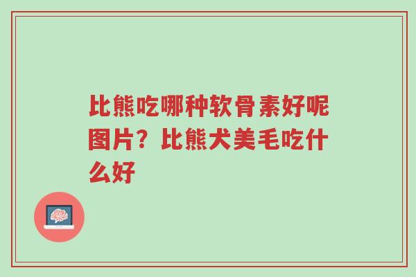 比熊吃哪种软骨素好呢图片?比熊犬美毛吃什么好-第1张图片-超越 比熊吃哪种软骨素好呢图片?比熊犬美毛吃什么好-第1张图片-超越
