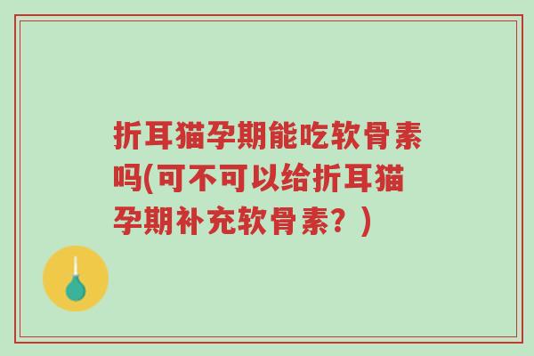 折耳猫孕期能吃软骨素吗(可不可以给折耳猫孕期补充软骨素?)-第1张图片-超越 折耳猫孕期能吃软骨素吗(可不可以给折耳猫孕期补充软骨素?)-第1张图片-超越
