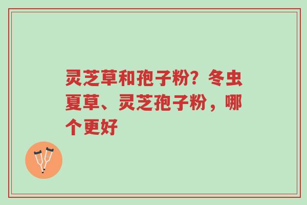 灵芝草和孢子粉?冬虫夏草、灵芝孢子粉,哪个更好-第1张图片-超越 灵芝草和孢子粉?冬虫夏草、灵芝孢子粉,哪个更好-第1张图片-超越
