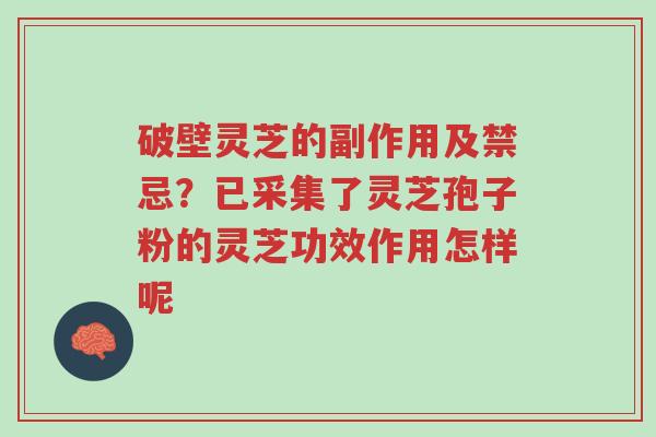 破壁灵芝的副作用及禁忌?已采集了灵芝孢子粉的灵芝功效作用怎样呢-第1张图片-超越 破壁灵芝的副作用及禁忌?已采集了灵芝孢子粉的灵芝功效作用怎样呢-第1张图片-超越