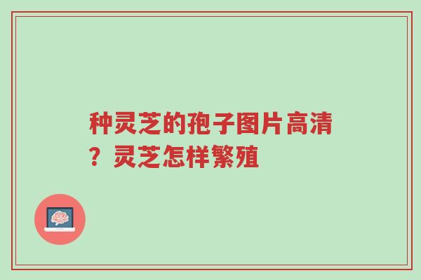 种灵芝的孢子图片高清?灵芝怎样繁殖-第1张图片-超越 种灵芝的孢子图片高清?灵芝怎样繁殖-第1张图片-超越