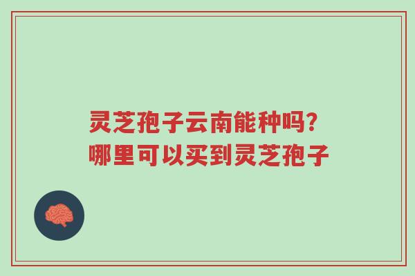 灵芝孢子云南能种吗？哪里可以买到灵芝孢子-第1张图片-超越