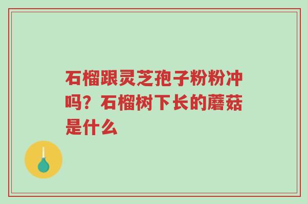 石榴跟灵芝孢子粉粉冲吗?石榴树下长的蘑菇是什么-第1张图片-超越 石榴跟灵芝孢子粉粉冲吗?石榴树下长的蘑菇是什么-第1张图片-超越