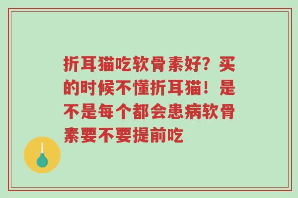 折耳猫吃软骨素好?买的时候不懂折耳猫!是不是每个都会患病软骨素要不要提前吃-第1张图片-超越 折耳猫吃软骨素好?买的时候不懂折耳猫!是不是每个都会患病软骨素要不要提前吃-第1张图片-超越