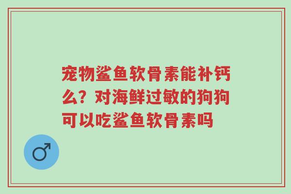 宠物鲨鱼软骨素能补钙么?对海鲜过敏的狗狗可以吃鲨鱼软骨素吗-第1张图片-超越 宠物鲨鱼软骨素能补钙么?对海鲜过敏的狗狗可以吃鲨鱼软骨素吗-第1张图片-超越