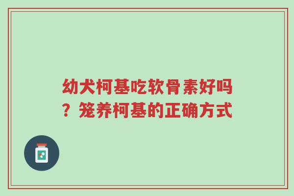 幼犬柯基吃软骨素好吗?笼养柯基的正确方式-第1张图片-超越 幼犬柯基吃软骨素好吗?笼养柯基的正确方式-第1张图片-超越
