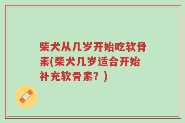 柴犬从几岁开始吃软骨素(柴犬几岁适合开始补充软骨素?)-第1张图片-超越 柴犬从几岁开始吃软骨素(柴犬几岁适合开始补充软骨素?)-第1张图片-超越