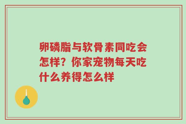 卵磷脂与软骨素同吃会怎样?你家宠物每天吃什么养得怎么样-第1张图片-超越 卵磷脂与软骨素同吃会怎样?你家宠物每天吃什么养得怎么样-第1张图片-超越