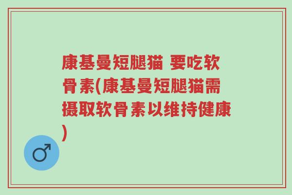 康基曼短腿猫 要吃软骨素(康基曼短腿猫需摄取软骨素以维持健康)-第1张图片-超越 康基曼短腿猫 要吃软骨素(康基曼短腿猫需摄取软骨素以维持健康)-第1张图片-超越