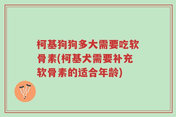 柯基狗狗多大需要吃软骨素(柯基犬需要补充软骨素的适合年龄)-第1张图片-超越