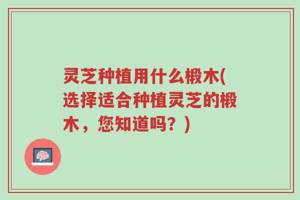 灵芝种植用什么椴木(选择适合种植灵芝的椴木,您知道吗?)-第1张图片-超越 灵芝种植用什么椴木(选择适合种植灵芝的椴木,您知道吗?)-第1张图片-超越