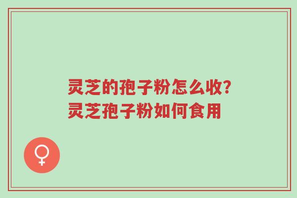 灵芝的孢子粉怎么收?灵芝孢子粉如何食用-第1张图片-超越 灵芝的孢子粉怎么收?灵芝孢子粉如何食用-第1张图片-超越