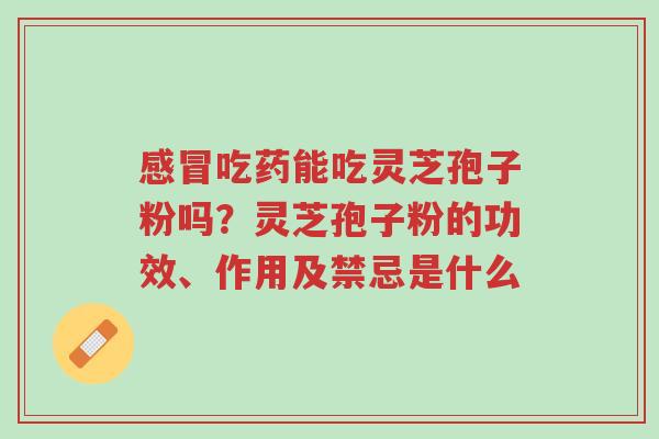 感冒吃药能吃灵芝孢子粉吗?灵芝孢子粉的功效、作用及禁忌是什么-第1张图片-超越 感冒吃药能吃灵芝孢子粉吗?灵芝孢子粉的功效、作用及禁忌是什么-第1张图片-超越